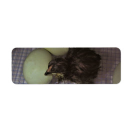 Noterar gammalt returadress etikett