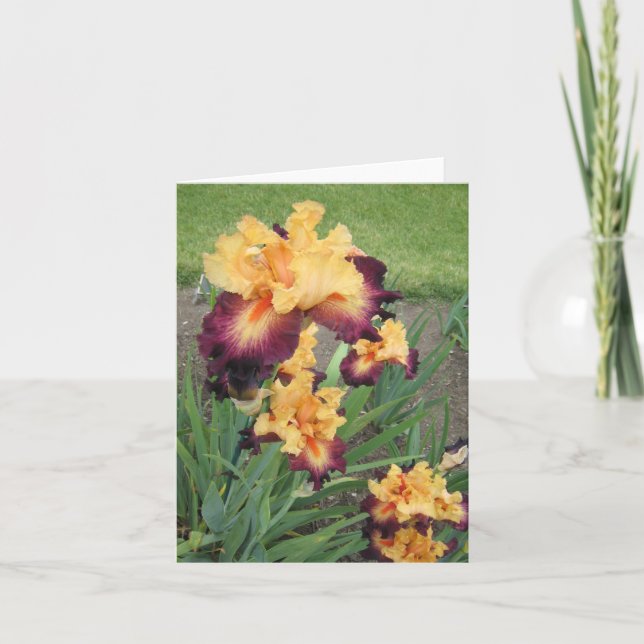 Noterar litet tomt för röd orange Iris kortet Kort (Framsida)