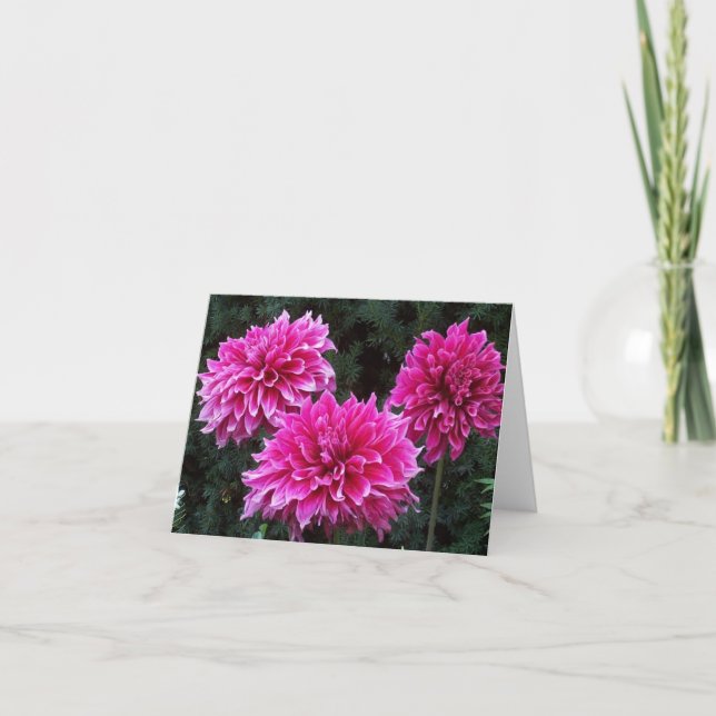 Noterar tom insida för vänträdgården kortvariation kort (Framsida)