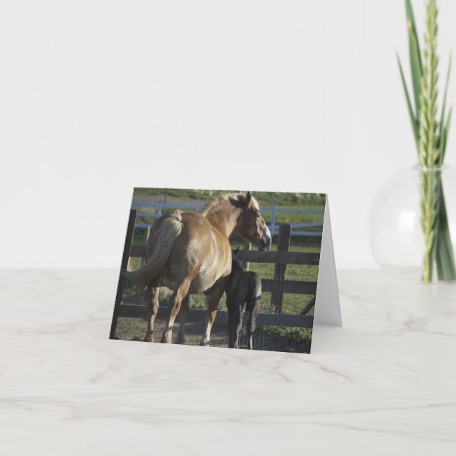 Noterat kort (Framsida)