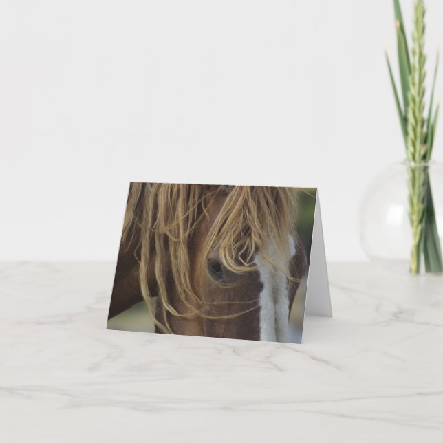 Noterat kort (Framsida)