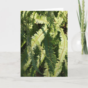 Noteringskort "Fern mönster" Kort
