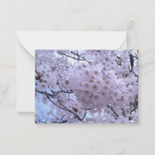 Noteringskort för Blommar av Sakura Cherry Anteckningskort