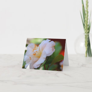 Noteringskort för Blommar i Vår Kort