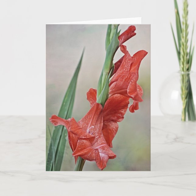 Noteringskort för Melon Red Toned Gladiolus Kort (Framsida)