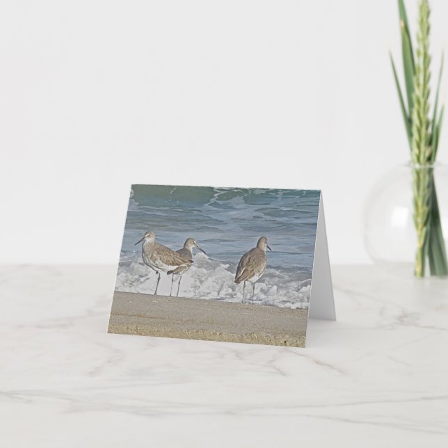 Noteringskort för Shore Bird Trio Kort (Framsida)