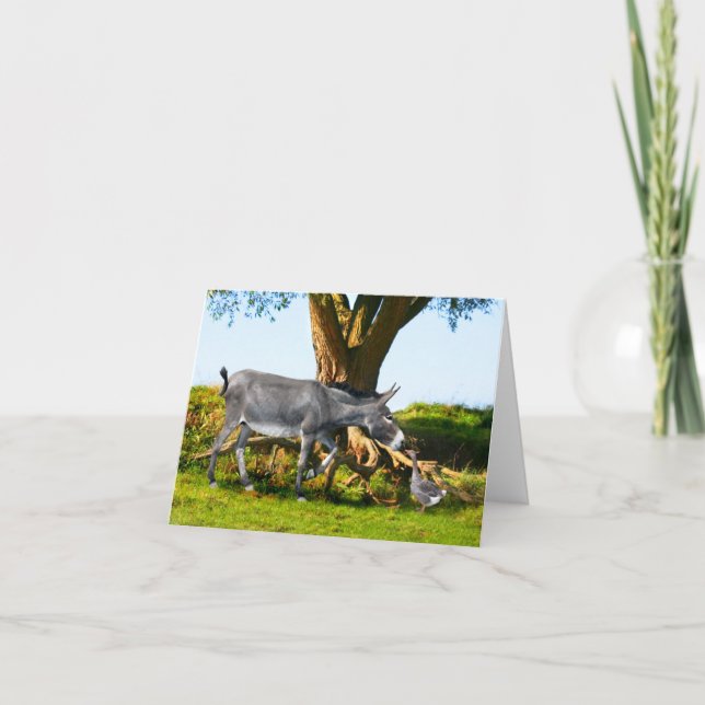 Noteringskort "Young Eno & Henri" Anteckningskort (Framsida)