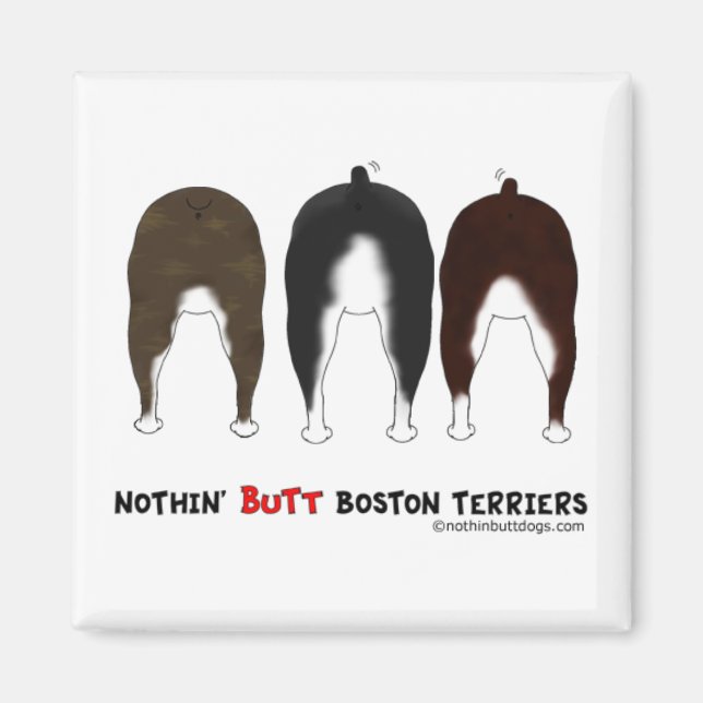 Nothin'Butt Boston Terriers Magnet (Framsidan)