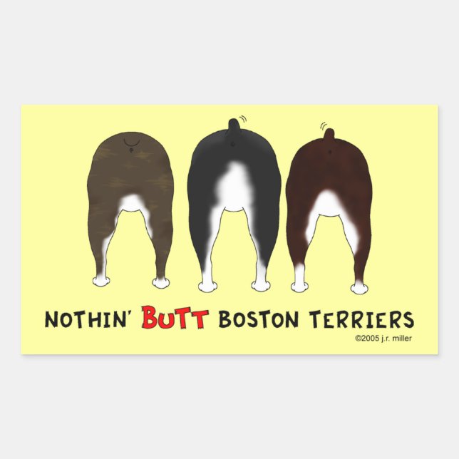 Nothin'Butt Boston Terriers Rektangulärt Klistermärke (Framsida)