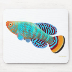 Nothobranchius Rachovii Killifish Mousepad Musmatta