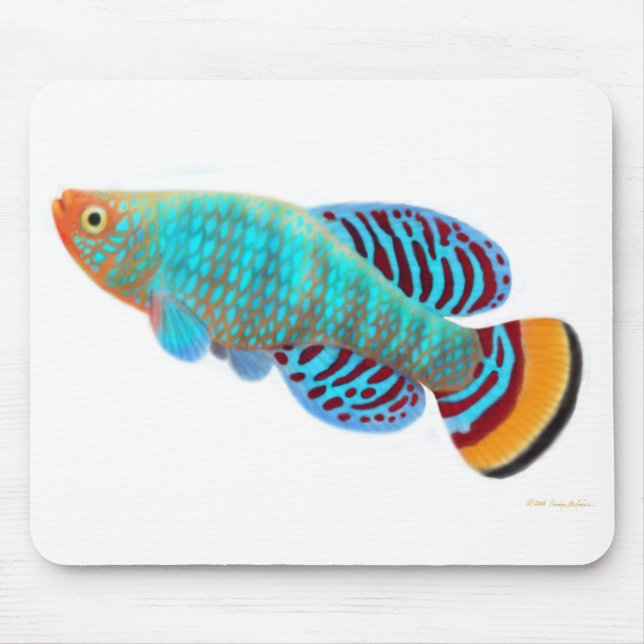 Nothobranchius Rachovii Killifish Mousepad Musmatta (Framsidan)
