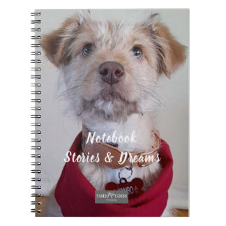 Notitieboekje Anteckningsbok