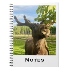 Notizbuch Anteckningsbok