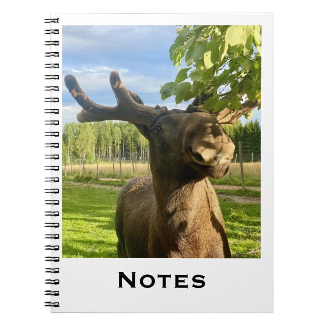 Notizbuch Anteckningsbok (Framsidan)