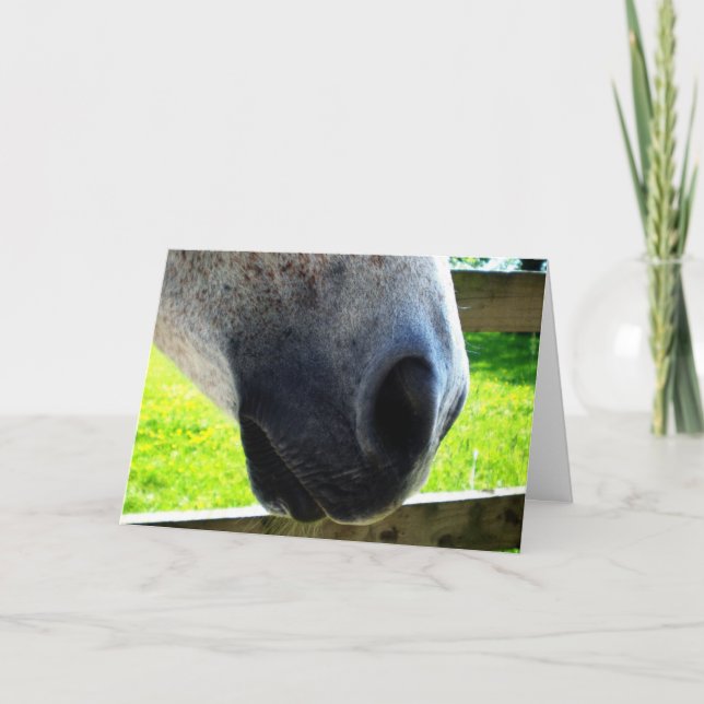 Nötjobb Kort (Framsida)