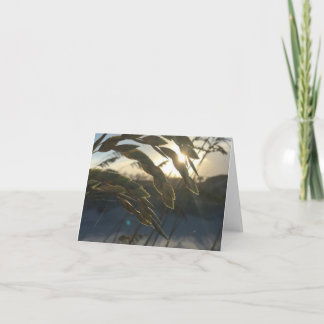 Notkort för havre anteckningskort