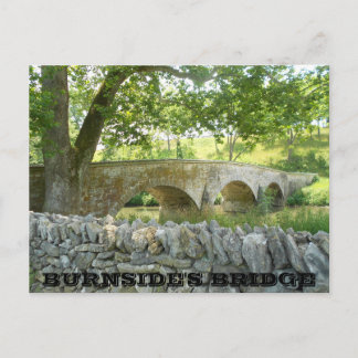 Nötkreatur av Antietam: Burnside's Bridge Postcard Vykort