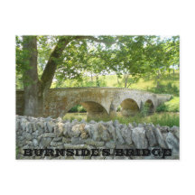 Nötkreatur av Antietam: Burnside's Bridge Postcard