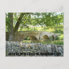 Nötkreatur av Antietam: Burnside's Bridge Postcard Vykort