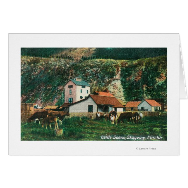 Nötkreatur bland Barns SceneSkagway, AK Hälsningskort (Framsidan Horizontal)