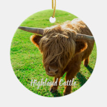 Nötkreatur för djur och jordbruk i älskare