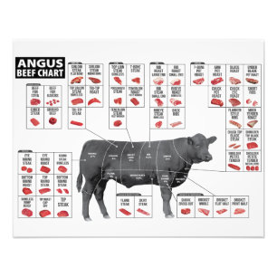 Nötkreatur Fototryck