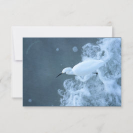 Nötkreatur/Gulls och Puffin återvunna Tack Kort
