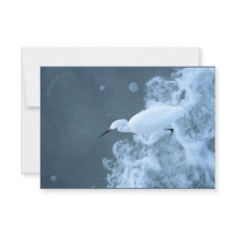 Nötkreatur/Gulls och Puffin återvunna