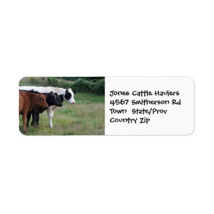 Nötkreatur Hauling Farm eller Ranch Sticker Returadress Etikett