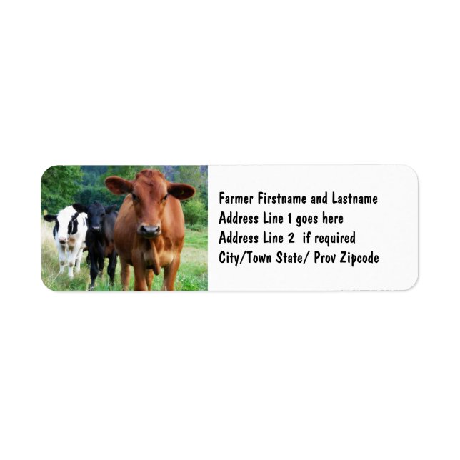 Nötkreatur i Fält Returadress Etikett (Framsidan)