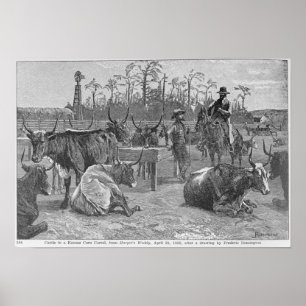 Nötkreatur i Kansas Maj Corral Poster