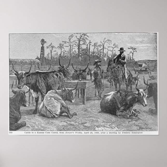 Nötkreatur i Kansas Maj Corral Poster (Framsidan)