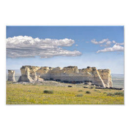 Nötkreatur i Monument Sten, Kansas Fototryck