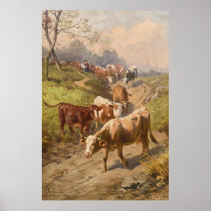 Nötkreatur i Sunshine med Shepherd Poster