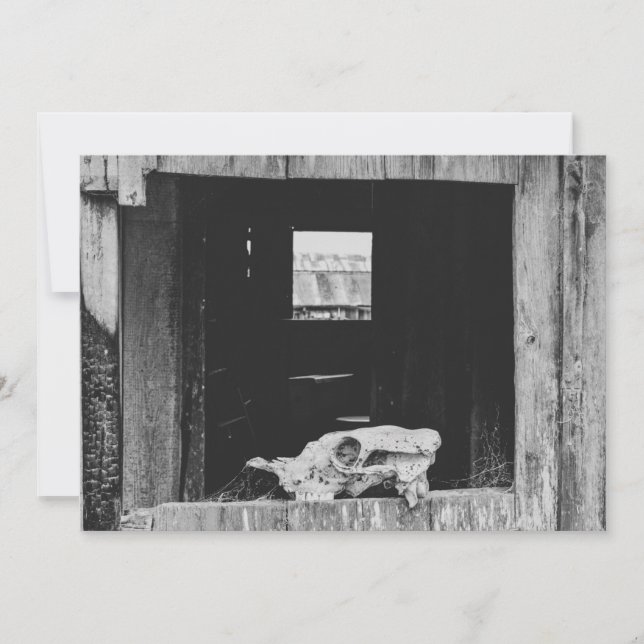 Nötkreatur Julkort (Framsida)