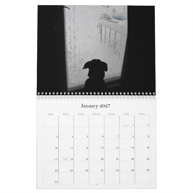 Nötkreatur~-kalender 2012 kalender (Jan 2027)