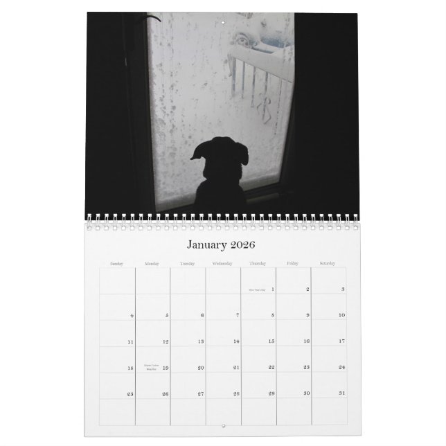 Nötkreatur~-kalender 2012 kalender (Jan 2026)