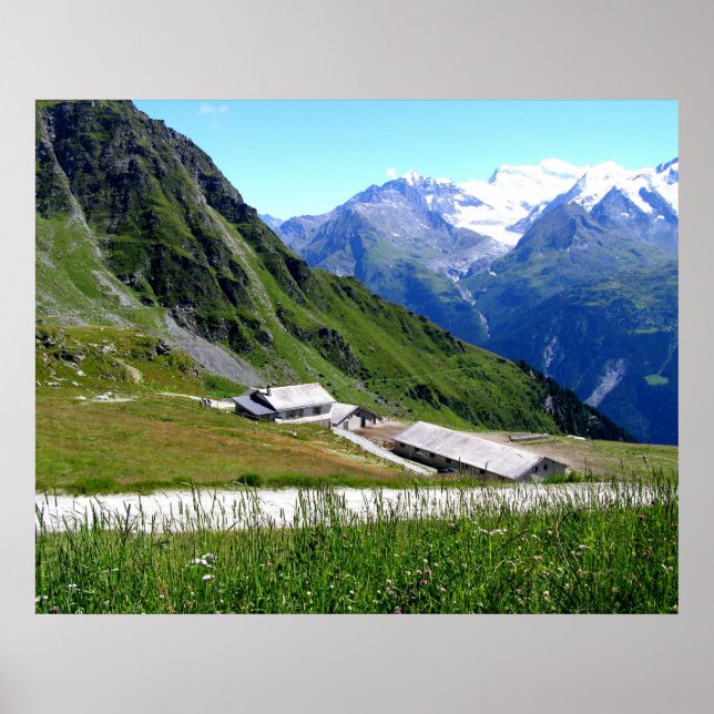 Nötkreatur La Chaux Poster (Framsidan)