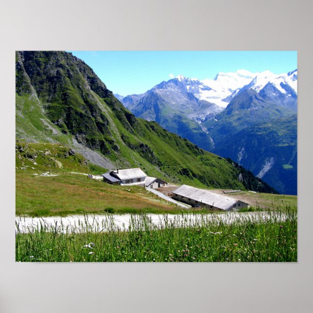 Nötkreatur La Chaux Poster (Framsidan)