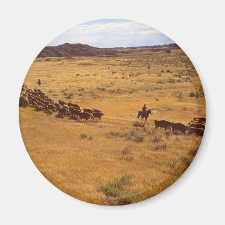 Nötkreatur Magnet