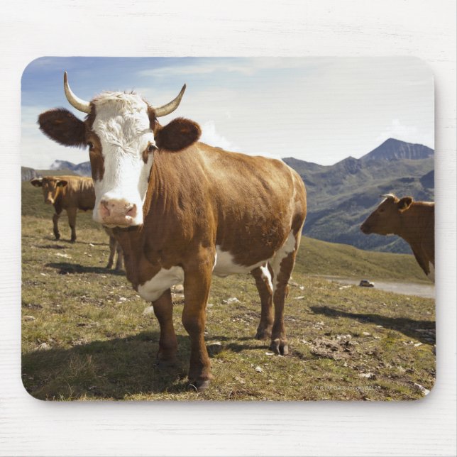 Nötkreatur Musmatta (Framsidan)