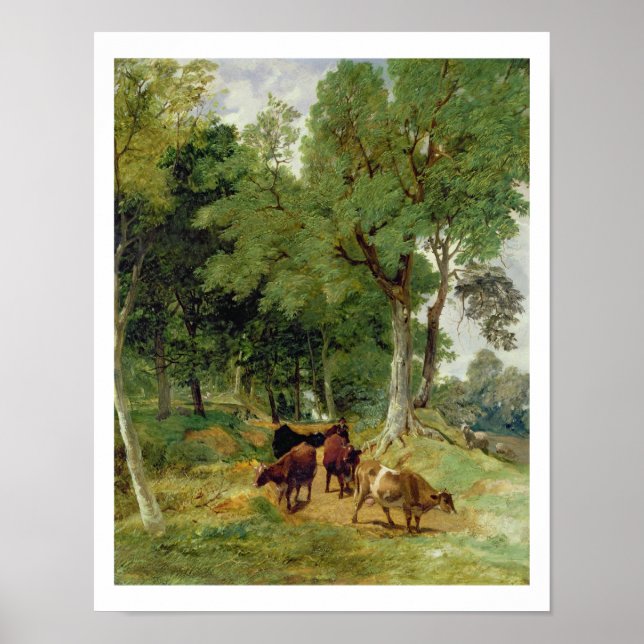 Nötkreatur på Devonshire Lane Poster (Framsidan)