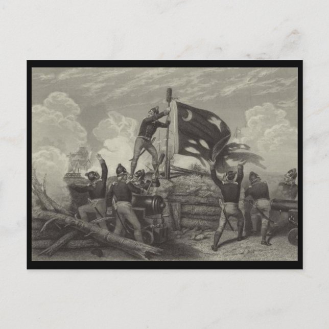 Nötkreatur på ön Sullivan Vykort (Framsida)