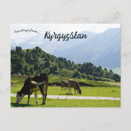 Nötkreatur som betar på en äng i Kirgizistan Vykort