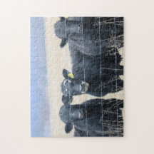 Nötkreatur som bor i närheten