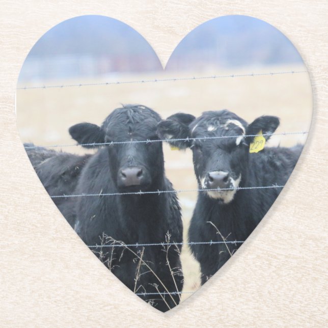 Nötkreatur som bor i närheten underlägg papper (Framsida)