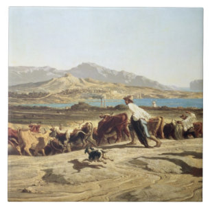 Nötkreatur som samlas nära Marseilles, 1853 (olj Kakelplatta
