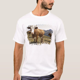 Nötkreatur T-shirt