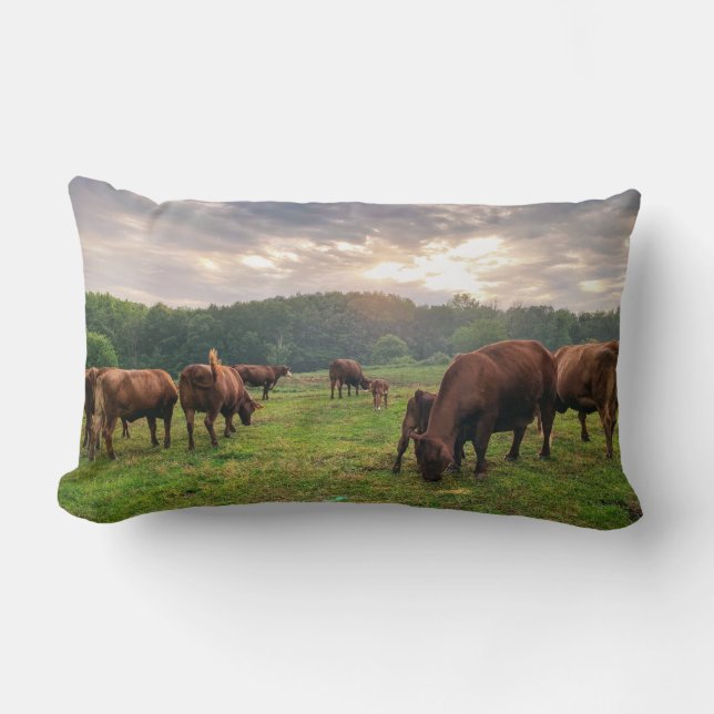 Nötkreatur vid Sunset Dekorativ kudde (Framsida)