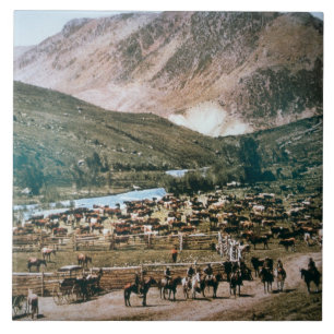 Nötkreaturranch, Colorado, 1899 (fotoet) Kakelplatta